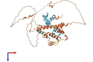 AlphaFold protein structure predicition of Human Recombinant ZBTB42 Protein, UniprotID B2RXF5