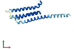 AlphaFold protein structure predicition of Human Recombinant ALOX5AP Protein, UniprotID P20292