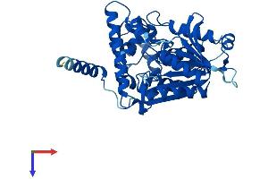 AlphaFold protein structure predicition of Mouse Recombinant Nceh1 Protein, UniprotID Q8BLF1