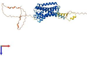 G Protein-Coupled Receptor 63 (GPR63) (AA 1-425) protein (His tag)
