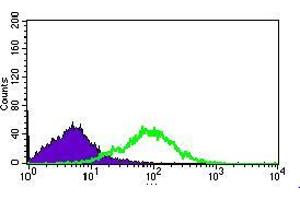 Flow cytometric analysis of HEK293 cells using MRPL42 mouse mAb (green) and negative control (purple). (MRPL42 anticorps  (AA 10-142))