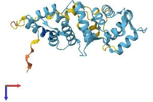 AlphaFold protein structure predicition of Mouse Recombinant Calb2 Protein, UniprotID Q08331
