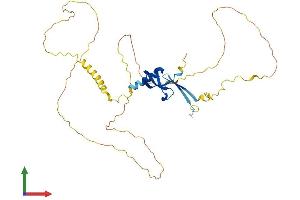 AlphaFold protein structure predicition of Mouse Recombinant Cbx8 Protein, UniprotID Q9QXV1