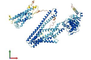 AlphaFold protein structure predicition of Human Recombinant ABCB6 Protein, UniprotID Q9NP58