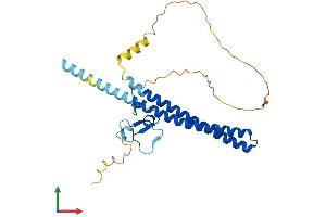 AlphaFold protein structure predicition of Human Recombinant ING2 Protein, UniprotID Q9H160