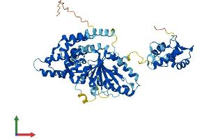 AlphaFold protein structure predicition of Human Recombinant EHD4 Protein, UniprotID Q9H223