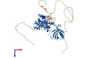 AlphaFold protein structure predicition of Mouse Recombinant Ralgps2 Protein, UniprotID Q9ERD6