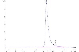 The purity of Cynomolgus BST1 is greater than 95 % as determined by SEC-HPLC.