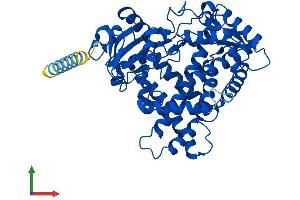 AlphaFold protein structure predicition of Human Recombinant CYP2A13 Protein, UniprotID Q16696