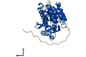 AlphaFold protein structure predicition of Mouse Recombinant Hemk1 Protein, UniprotID Q921L7