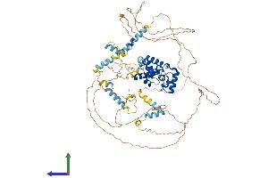 AlphaFold protein structure predicition of Human Recombinant MYBL1 Protein, UniprotID P10243