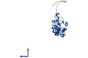 AlphaFold protein structure predicition of Human Recombinant MRPS2 Protein, UniprotID Q9Y399