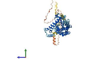 AlphaFold protein structure predicition of Human Recombinant SLC1A2 Protein, UniprotID P43004
