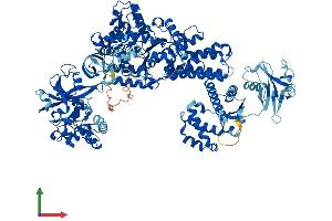 AlphaFold protein structure predicition of Human Recombinant LARS1 Protein, UniprotID Q9P2J5
