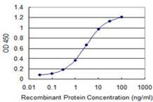 Detection limit for recombinant GST tagged OTOP2 is 0. (Otopetrin 2 anticorps  (AA 423-493))
