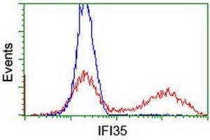 HEK293T cells transfected with either RC200929 overexpress plasmid (Red) or empty vector control plasmid (Blue) were immunostained by anti-IFI35 antibody (ABIN2454901), and then analyzed by flow cytometry. (IFI35 anticorps)