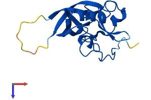 AlphaFold protein structure predicition of Human Recombinant GGACT Protein, UniprotID Q9BVM4