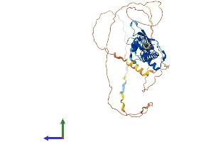 AlphaFold protein structure predicition of Human Recombinant TFAP2B Protein, UniprotID Q92481