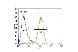 Flow cytometric analysis of HepG2 cells (right histogram) compared to a negative control cell (left histogram). (RASGRP1 anticorps  (AA 495-521))