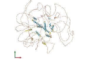 AlphaFold protein structure predicition of Human Recombinant NRIP1 Protein, UniprotID P48552