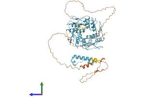 AlphaFold protein structure predicition of Human Recombinant ZNF813 Protein, UniprotID Q6ZN06