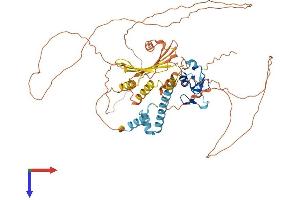 AlphaFold protein structure predicition of Mouse Recombinant Rlim Protein, UniprotID Q9WTV7