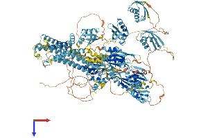 AlphaFold protein structure predicition of Mouse Recombinant Atp7b Protein, UniprotID Q64446
