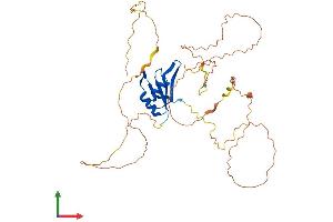 AlphaFold protein structure predicition of Human Recombinant RBFOX1 Protein, UniprotID Q9NWB1