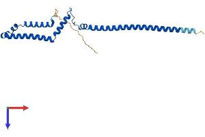 AlphaFold protein structure predicition of Human Recombinant PMF1 Protein, UniprotID Q6P1K2