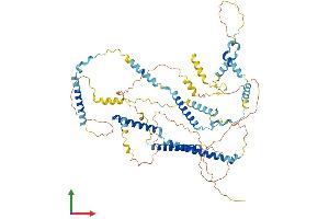 AlphaFold protein structure predicition of Human Recombinant FAM161A Protein, UniprotID Q3B820