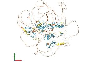 AlphaFold protein structure predicition of Human Recombinant ZNF592 Protein, UniprotID Q92610