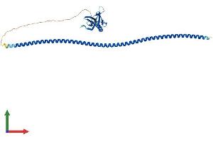 AlphaFold protein structure predicition of Human Recombinant HOMER1 Protein, UniprotID Q86YM7