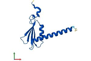 AlphaFold protein structure predicition of Mouse Recombinant Polr2j Protein, UniprotID O08740
