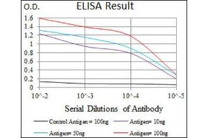 ELISA image for anti-phosphodiesterase 1B, Calmodulin-Dependent (PDE1B) (AA 370-536) antibody (ABIN1845414)
