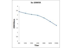 Antigen: 2 µg/100 µL  Primary: Antiserum, 1:500, 1:1000, 1:2000, 1:4000, 1:8000, 1:16000, 1:32000;  Secondary: HRP conjugated Rabbit Anti-Goat IgG at 1: 5000;  TMB staining Read the data in Microplate Reader by 450nm.