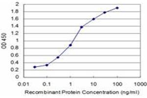 Detection limit for recombinant GST tagged SMAD7 is approximately 0. (SMAD7 anticorps  (AA 160-260))