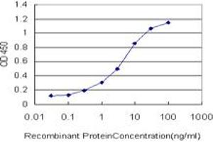 Detection limit for recombinant GST tagged FLJ23356 is approximately 0.