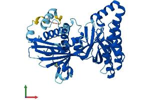 AlphaFold protein structure predicition of Human Recombinant MVK Protein, UniprotID Q03426