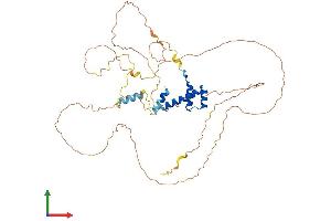 AlphaFold protein structure predicition of Mouse Recombinant Evx2 Protein, UniprotID P49749