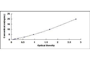 Typical standard curve (BCMO1 Kit ELISA)