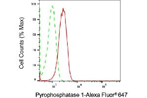 Flow cytometric analysis of Pyrophosphatase 1 expression in HT- cells using Pyrophosphatase 1 antibody (ABIN7800077), 1:2,000). (Recombinant Pyrophosphatase (Inorganic) 1 (PPA1) anticorps)