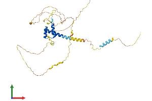 AlphaFold protein structure predicition of Human Recombinant NKX6-1 Protein, UniprotID P78426