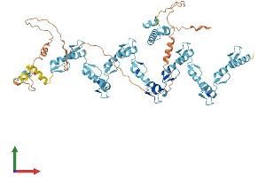 AlphaFold protein structure predicition of Human Recombinant ZNF254 Protein, UniprotID O75437