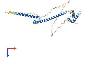 AlphaFold protein structure predicition of Mouse Recombinant Mlx Protein, UniprotID O08609