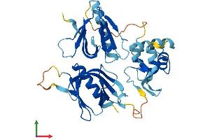 AlphaFold protein structure predicition of Mouse Recombinant Plek Protein, UniprotID Q9JHK5