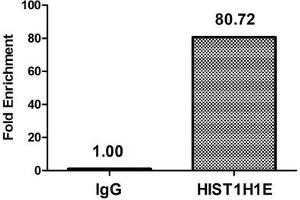 Chromatin Immunoprecipitation Hela (4*10 6 , treated with 30 mM sodium butyrate for 4h) were treated with Micrococcal Nuclease, sonicated, and immunoprecipitated with 8 μg anti-HIST1H1E (ABIN7139163) or a control normal rabbit IgG. (HIST1H1E anticorps  (acLys16))