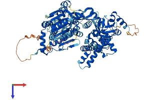 AlphaFold protein structure predicition of Mouse Recombinant Dhx32 Protein, UniprotID Q8BZS9