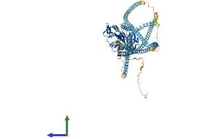 AlphaFold protein structure predicition of Mouse Recombinant Kif5c Protein, UniprotID P28738
