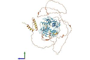 AlphaFold protein structure predicition of Human Recombinant ZNF333 Protein, UniprotID Q96JL9