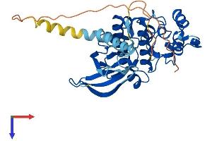 AlphaFold protein structure predicition of Mouse Recombinant Cdkl1 Protein, UniprotID Q8CEQ0